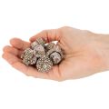Żołędzie, produkt naturalny do dekoracji, bielone, 1-3 cm, 300 g | Floristik24.pl