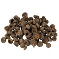 Floristik24 Naturalne czapeczki z żołędzi, ozdobne miseczki na jesień i adwent, 2 cm, 300 g