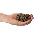 Naturalne czapeczki z żołędzi, ozdobne miseczki na jesień i adwent, 2 cm, 300 g | Floristik24.pl