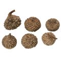 Naturalne czapeczki z żołędzi, ozdobne miseczki na jesień i adwent, 2 cm, 300 g | Floristik24.pl
