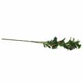 Floristik24 Sztuczna gałązka liścia dębu z żołędziami 90cm
