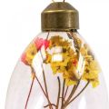 Floristik24 Wiszące jajka, suszone kwiaty, pisanki, ozdoby szklane na wiosnę wys. 6,5 cm, zestaw 6 szt