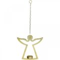 Floristik24 Deco Angel, wiszący świecznik na tealight, metalowy, złoty Deco H20cm