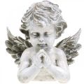 Floristik24 Modlący się anioł, kwiat pogrzebowy, popiersie anioła, dekoracja grobu wys. 19cm szer. 19,5cm