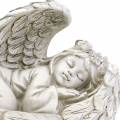 Floristik24 Dekoracyjny aniołek śpiący o wymiarach 18cm x 8cm x 10cm