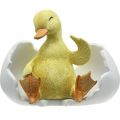 Floristik24 Wyklute pisklę, figurka kaczki, kaczątko w jajku wys.10cm szer.12.5cm