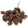 Floristik24 Szyszki olchowe, produkt naturalny do dekoracji i rękodzieła, złote, 3 cm, 300 g