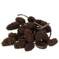 Floristik24 Szyszki olchowe naturalne, luzem, do dekoracji, 3cm, 300g, naturalny brąz.