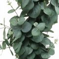 Floristik24 Eukaliptus w doniczce sztuczna roślina Sztuczna dekoracja roślinna wys.87cm