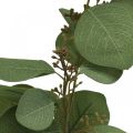 Floristik24 Sztuczna gałąź eukaliptusowa z pąkami sztuczna roślina 60cm
