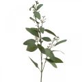 Floristik24 Sztuczna gałązka eukaliptusa z gałązką dekoracyjną pąków 60 cm