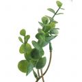 Floristik24 Sztuczna gałązka eukaliptusa zielona 37 cm 6 sztuk