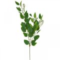 Floristik24 Sztuczna gałązka eukaliptusa zielona potrójnie rozgałęziona L100cm