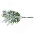 Floristik24 Sztuczna gałązka eukaliptusa zaśnieżona gałązka dekoracyjna eukaliptus bożonarodzeniowy 48cm
