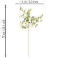 Sztuczna gałązka eukaliptusa z okrągłymi liśćmi, 75 cm, 4 sztuki | Floristik24.pl