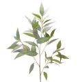 Floristik24 Sztuczna gałązka eukaliptusa, naturalna zieleń, dekoracja, 100 cm