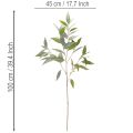 Sztuczna gałązka eukaliptusa, naturalna zieleń, dekoracja, 100 cm | Floristik24.pl