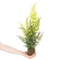 Sztuczna paproć z bryłą korzeniową do dekoracji domu i biura, 57 cm | Floristik24.pl