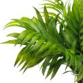 Floristik24 Liście palmowe dekoracja palmowa sztuczne rośliny zielone 30cm 3szt