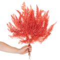Paprocie, suszone kwiaty, dekoracja jesienna, 60 cm, 10 szt. | Floristik24.pl