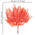 Paprocie, suszone kwiaty, dekoracja jesienna, 60 cm, 10 szt. | Floristik24.pl