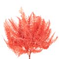 Paprocie, suszone kwiaty, dekoracja jesienna, 60 cm, 10 szt. | Floristik24.pl
