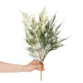 Sztuczna gałązka paproci, zielona, realistyczna, 56 cm | Floristik24.pl