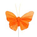 Floristik24 Motyl z piórami 8 cm pomarańczowy 24 szt.