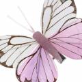 Floristik24 Piórko motyl różowy na klipsie 6cm 10szt