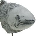 Floristik24 Figura ogrodowa ryba na stojaku H20cm