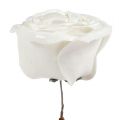 Floristik24 Róża piankowa biała z masą perłową Ø10cm 6szt