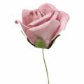 Floristik24 Róża piankowa Ø10cm antyczny róż 8szt