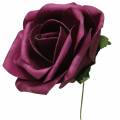 Floristik24 Róża piankowa Ø10cm różne kolory 8szt