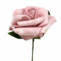 Floristik24 Piankowa róża Ø3,5 cm stary róż 48szt