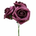 Floristik24 Róża piankowa Ø3,5cm fioletowa 48p