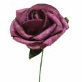 Floristik24 Róża piankowa Ø3,5cm fioletowa 48p
