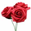 Floristik24 Róża piankowa Ø3,5cm czerwona 48szt