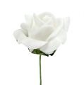 Floristik24 Róża piankowa Ø 3,5 cm biała 48 sztuk