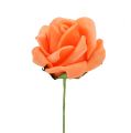 Floristik24 Piankowa róża Ø 3,5 cm pomarańczowa 48 sztuk