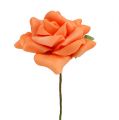 Floristik24 Róża piankowa Ø7,5cm pomarańczowa 18szt
