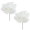 Floristik24 Róża piankowa biała Ø10cm śnieżna 6szt.