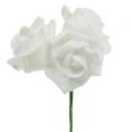Floristik24 Piankowa róża biała Ø10cm 8szt