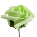 Floristik24 Róża piankowa Ø 6cm zielona 27szt
