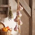Ozdoba czosnkowa do zawieszenia, sztuczna, żółto-fioletowa, dł. 50 cm | Floristik24.pl