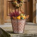 Uchwyt do doniczki ceramicznej metalowy brązowy Ø18cm | Floristik24.pl