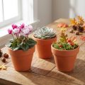 Doniczki gliniane Ø6cm wys. 5cm 10szt | Floristik24.pl