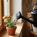 Konewka spryskiwacz czarny 5l | Floristik24.pl