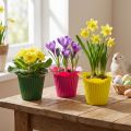 Plastikowe kwiaty doniczkowe Ø10,5cm 25 szt | Floristik24.pl