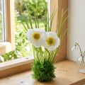Mak biały w trawie 23cm | Floristik24.pl