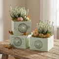 Pudełko na rośliny dekoracyjne szuflada shabby green 15-23cm zestaw 3 sztuk | Floristik24.pl